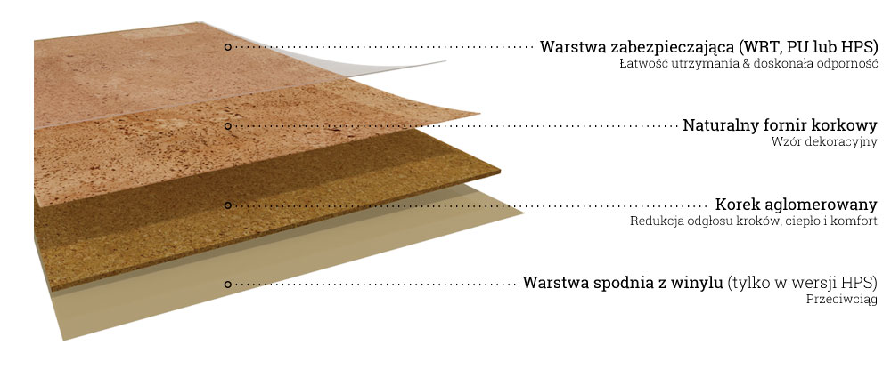pÅytka - budowa pÅytka - budowa